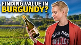 5 Great Value BURGUNDY Wines You MUST Try While They Are Still Affordable [upl. by Antonius388]