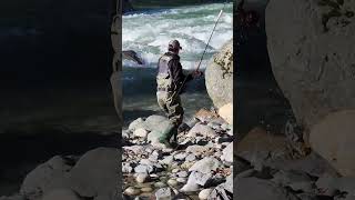 하마터면 낚시로 잡은 연어 놓칠뻔 했어요 Almost missed the salmon I caught Vedder river Canada 🇨🇦 [upl. by Fremont71]