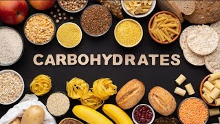 chapter 1 carbohydrates of biochemistry physical therapy [upl. by Ollecram]