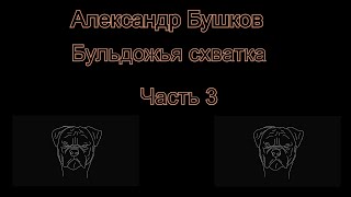 Аудиокнига Александр Бушков Бульдожья схватка Часть 3 [upl. by Novyar]