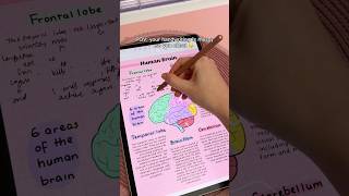 my messy handwriting secret 🤫💕 Samsung galaxy tab S9  penly android app  digital note taking tips [upl. by Mauceri113]