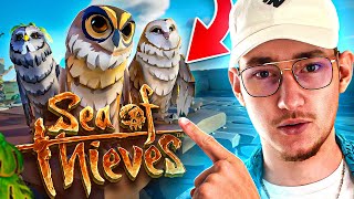 DES CHOUETTES SUR SEA OF THIEVES  🦉 [upl. by Fasa204]