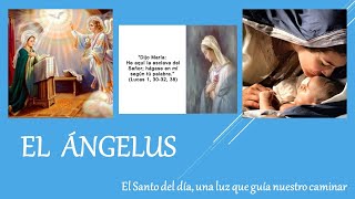 ANGELUS [upl. by Delsman]