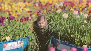 Floriade 2017 [upl. by Ala]