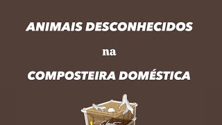 O que você precisa conhecer sobre compostagem doméstica ácaros [upl. by Adnahc984]