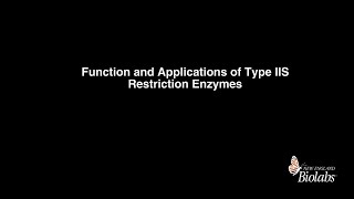 Function and Application of Type IIS Restriction Enzymes [upl. by Erastes188]