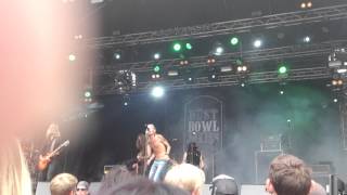 Dust Bowl Jokies  Down To The Bone  Live at Skogsröjet 2014 [upl. by Nilyarg]