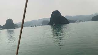 Halong Bay Exploration Navigating the Jewel of Vietnam [upl. by Rodina]