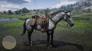 Red Dead Redemption 2 How To Get The Turkoman Gold  Dark Bay And Silver Horse [upl. by Acinorej]