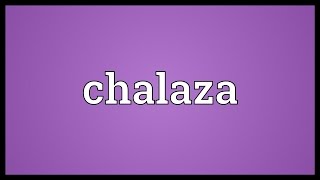 Chalaza Meaning [upl. by Katharina]