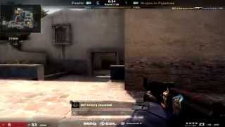 ESL One Cologne 2014 Grand Finals  Friberg Ace vs Fnatic [upl. by Fernald]