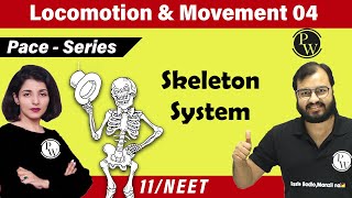 Movement and Locomotion 04  Skeleton System  Class 11  NEET  PACE SERIES [upl. by Ganny]