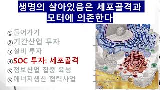 세포여행SOC 세포골격 [upl. by Notsud]