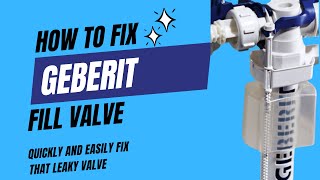 Fix That Leak  change Geberit Fill Valve Washer [upl. by Joan843]