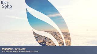 Etasonic  Sentimental Way Original Mix OUT 100214 [upl. by Yleme]