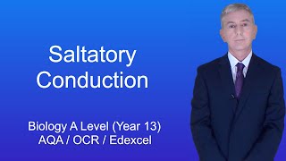 A Level Biology Revision Year 13 quotSaltatory Conductionquot [upl. by Lamok490]