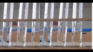 Test didentification des ions 3APIC [upl. by Sonaj]