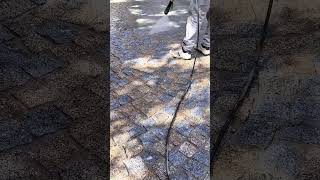 Cleaning paving stones requires months of training construction paving shorts [upl. by Kiah]