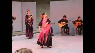 FANDANGOS DE HUELVA quotALMA PEREGRINAquot CIA DE DANZA ESPAÑOLA Y FLAMENCO [upl. by Aicekat480]