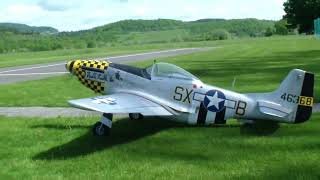 RC Mustang P51 Warbird Model Airplane with Gas Engine [upl. by Durtschi]