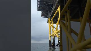 Fishing the Rampion Offshore Substation brighton lurefishing [upl. by Nesyrb]