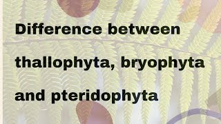 Difference between thallophyta bryophyta and pteridophyta [upl. by Ennairej]