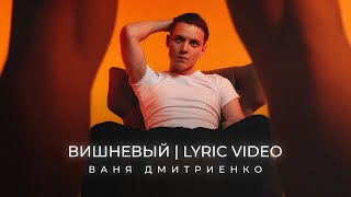 Ваня Дмитриенко  Вишнёвый Lyric Video [upl. by Sirraj]