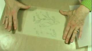 Yellow Canary Tracing Paper Demo by Chris Haughey [upl. by Valma532]