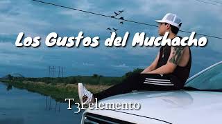 Los gustos del muchacho T3r elemento [upl. by Rosamond551]