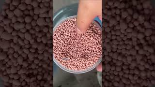 npk 16 16 8 fertilizer for plants [upl. by Winola858]