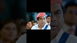 The Best of Brahmanandam Comedy Moments [upl. by Jacki]