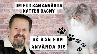 quotOm Gud kan använda katten Dagny så kan han använda digquot Simon Ådahl 4 Februari 2024 [upl. by Harrington]