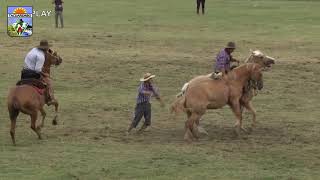 Rueda Jineteadas Mujeres Patria Gaucha 2019 [upl. by Dat265]