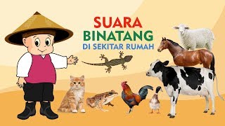 Mengenal Suara Hewan untuk Anak  Video Edukasi Anak Indonesia [upl. by Gal178]