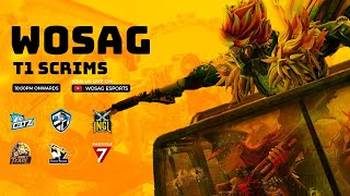 HINDI WOSAG TIER 1 SCRIMS FTPOWER HOUSEINGLCELTZESN100CCPARTICLE 7 [upl. by Tiphanie]