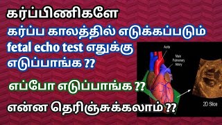 what is fetal echo test during pregnancy in tamil  Full details about fetal echo scan in tamil [upl. by Reagen]