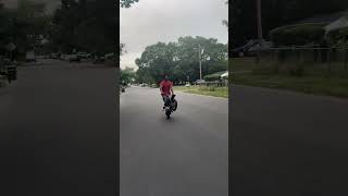 I need a bigger bike fypシ゚viral wheeliedirtbike minibike wheelie wheelielife [upl. by Nylaf]