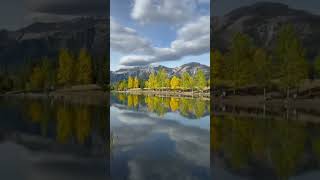 The image of trees can be clearly seen in a calm water body [upl. by Yengac849]