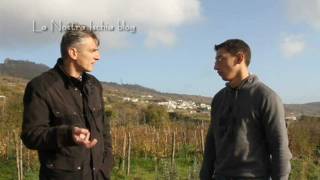 Ischia Vini Cenatiempo Intervista Video [upl. by Arundell669]