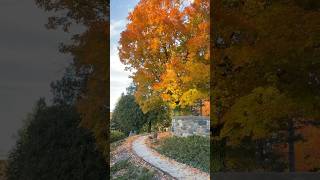 Autumn at Cranbrook House amp Gardens nature relaxing visitmichigan exploremichigan autumn [upl. by Binette]