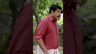 Watch 👆 Praise the Lord Movie Scenes praisethelord mammootty akankshapuri mukesh shorts [upl. by Evaleen]