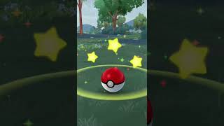 I found a Donphan  Daily walking highlight  Pokemon Go [upl. by Ayisan]