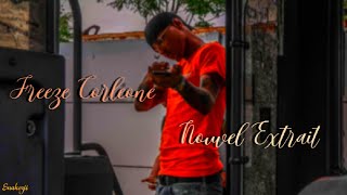 EXCLU FREEZE CORLEONE  Mission Cobra Nouvel Extrait [upl. by Codie722]