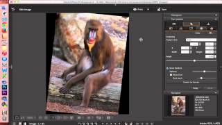 Digital Photo Professional DPP 4 Editing Images [upl. by Norbert]