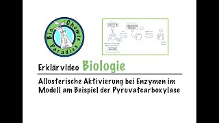 Erklärvideo Biologie – Allosterische Aktivierung von Enzymen am Beispiel der Pyruvatcarboxylase [upl. by Aanas]