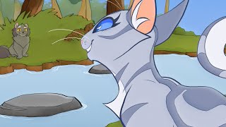 We See the Light  A Graystripe ♥ Silverstream MAP  Part 6 [upl. by Ansela]