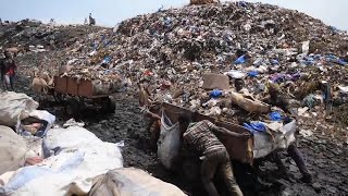 Mali’s capital is drowning in trash and donkeys are on the frontline against the battle to manage i [upl. by Rowley168]