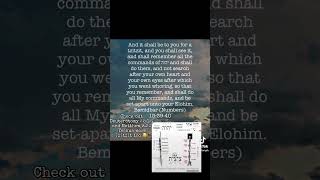 The Tzitzit youtubeshorts quotes yahweh foryou fyp fy shorts reels bible god tzitzit [upl. by Bathsheeb488]