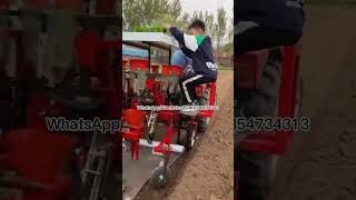 Vegetable seedling planting machine Fruit seedling transplanting machine [upl. by Haidej]