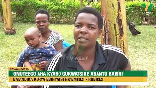 Agacencwire Omuteego omuri Rubirizi gukwatsire babiri baatandika kurya ebinyatsi nkembuzi [upl. by Ainitsirc110]